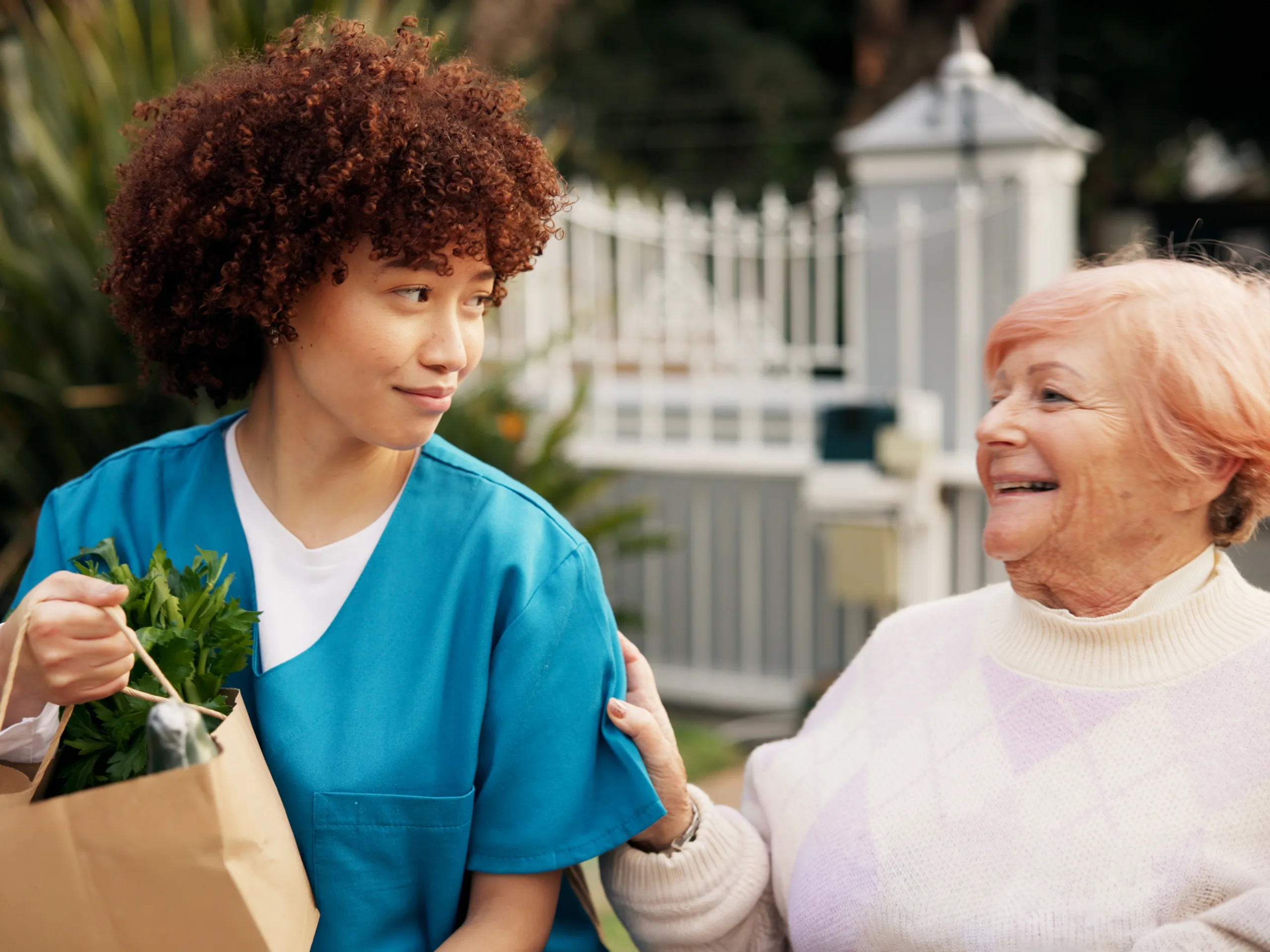 Femal domiciliary carer with her client