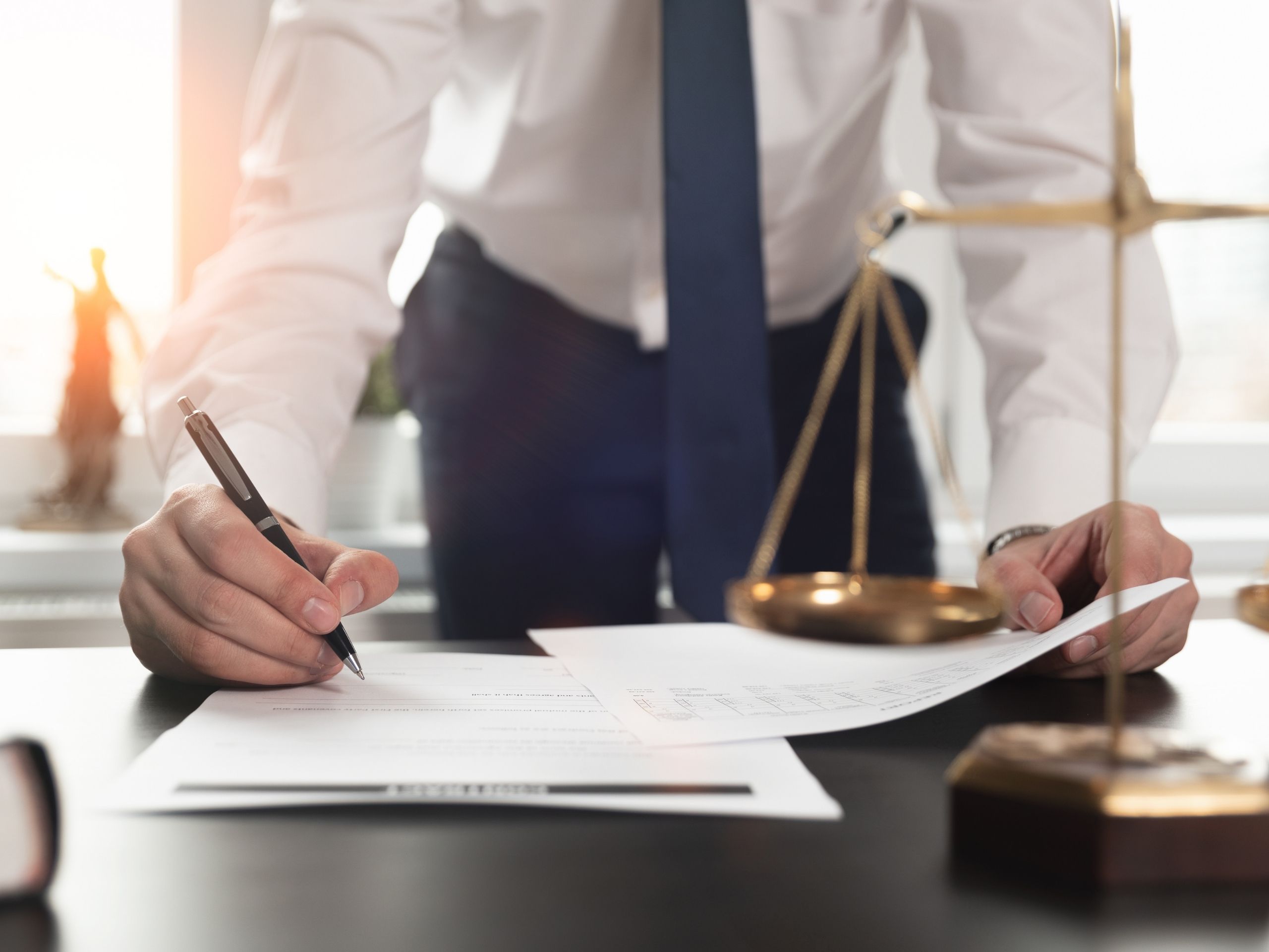 Lawyer, businessperson, document, job