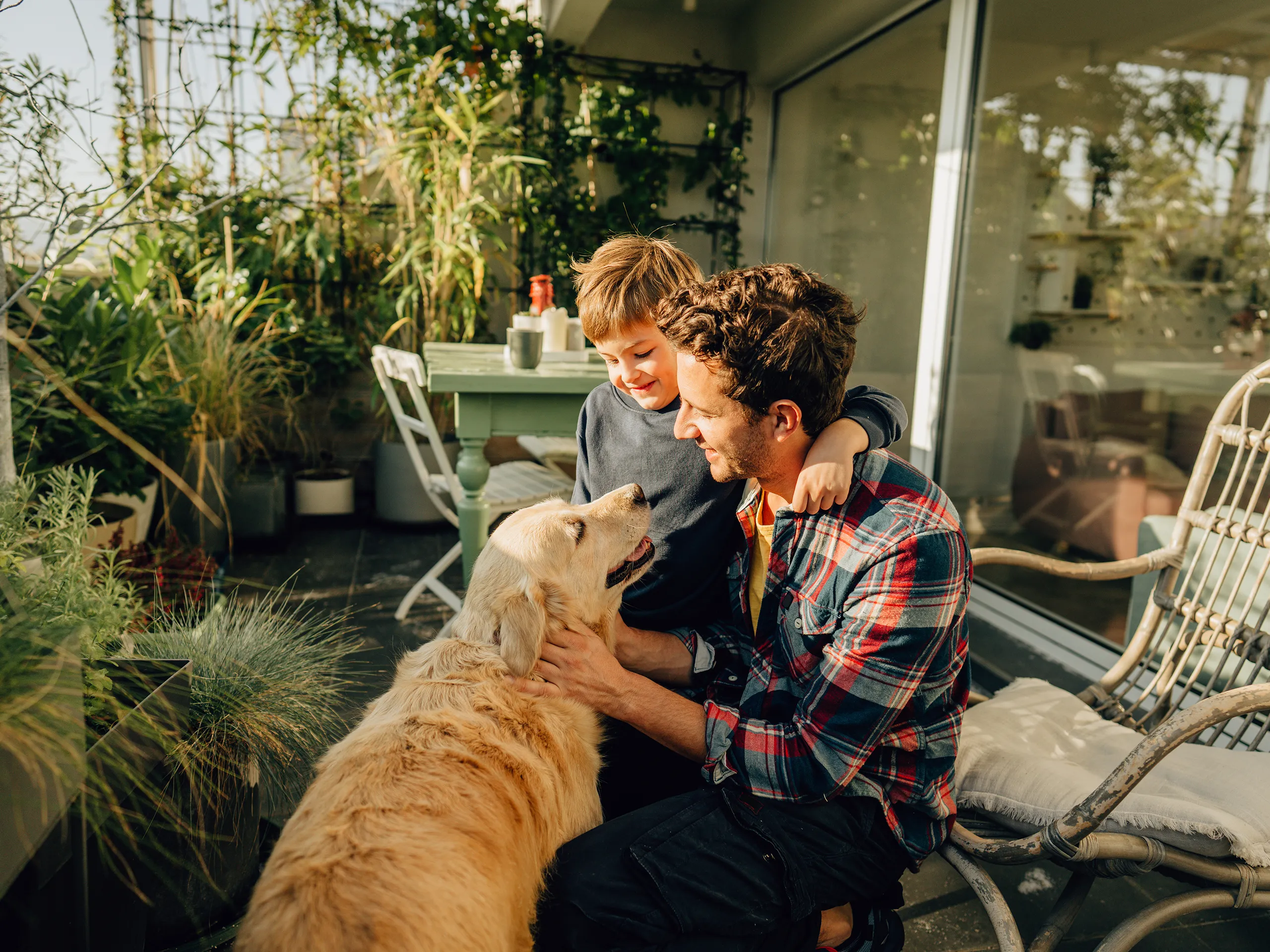 Father and son pet their dog on a sunny terrace with many plants.
