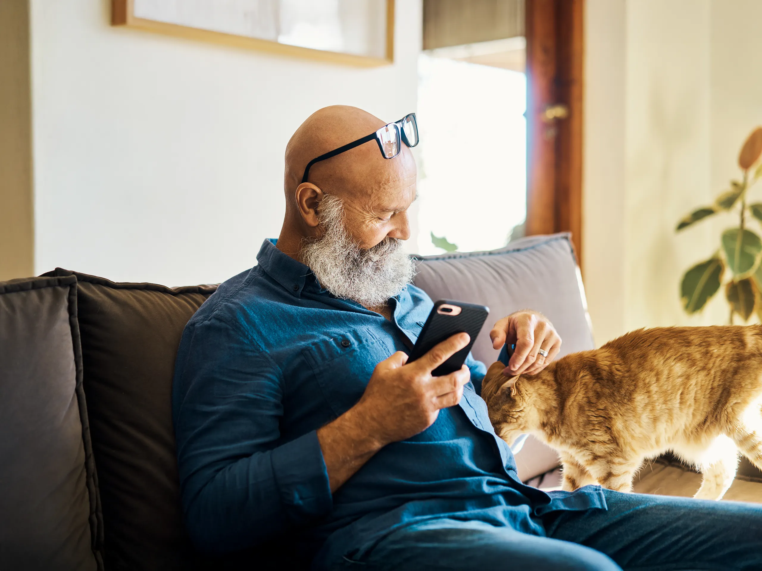 Older man with a beard sits on the sofa and pets a red cat.