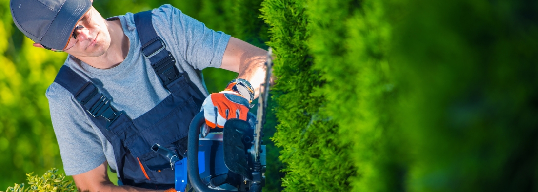 Don’t let your private hedge be a hazard to public footpaths