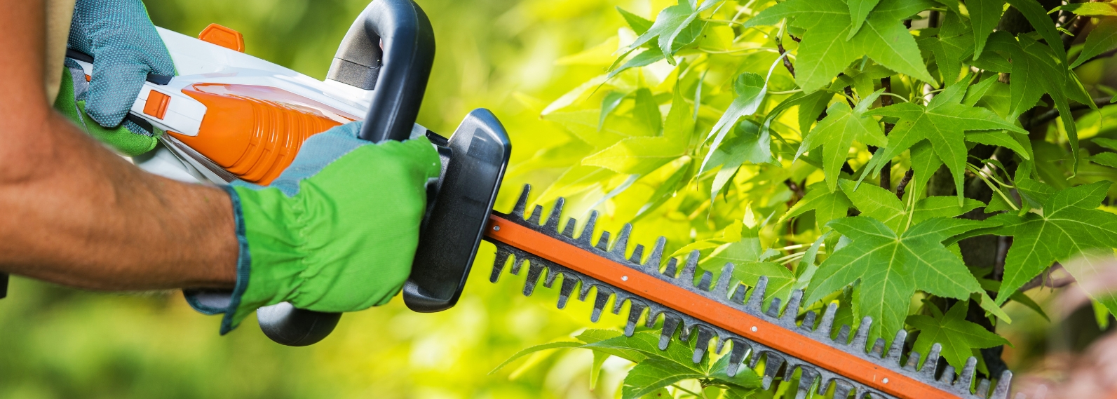 Hedge Cutting - Hero _1_