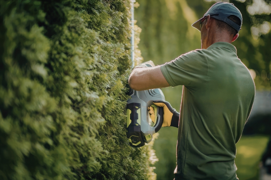 Hedge hazards